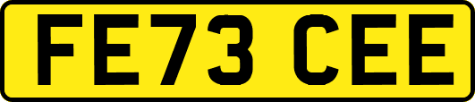 FE73CEE