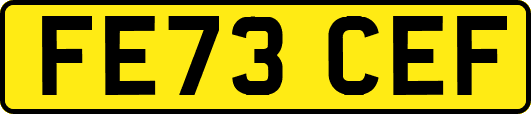 FE73CEF