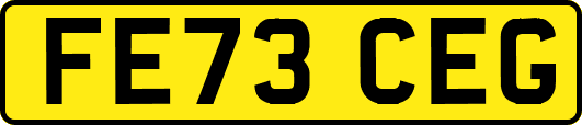FE73CEG