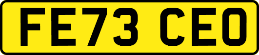 FE73CEO