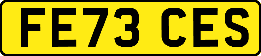 FE73CES