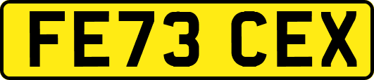 FE73CEX