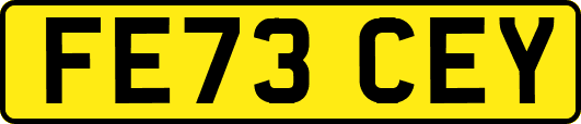FE73CEY