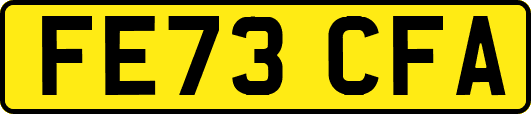 FE73CFA