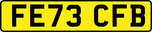 FE73CFB