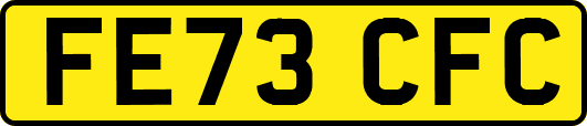 FE73CFC