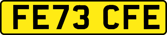 FE73CFE