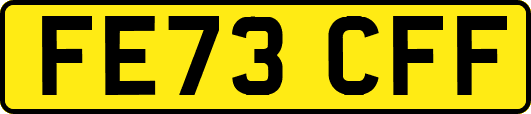 FE73CFF