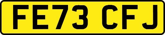 FE73CFJ