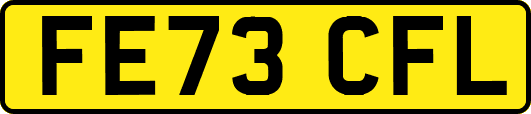 FE73CFL