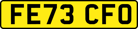 FE73CFO