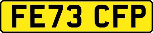 FE73CFP