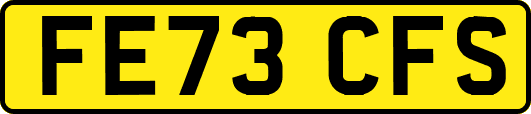FE73CFS