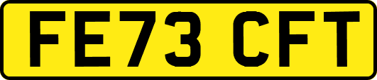 FE73CFT