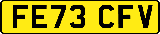 FE73CFV