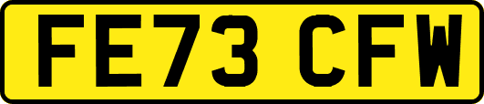 FE73CFW