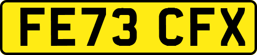 FE73CFX