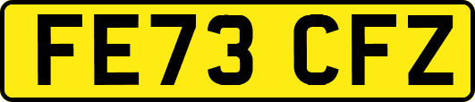 FE73CFZ