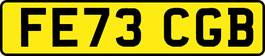 FE73CGB