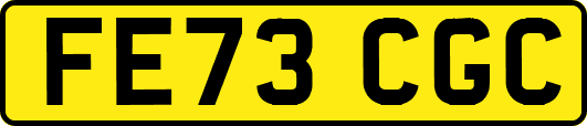 FE73CGC