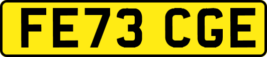 FE73CGE