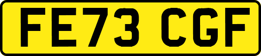FE73CGF