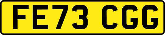 FE73CGG