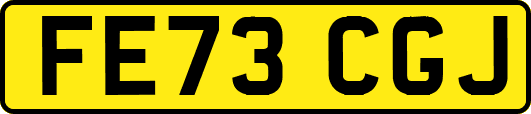 FE73CGJ