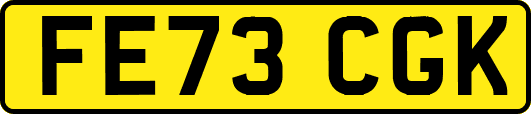FE73CGK
