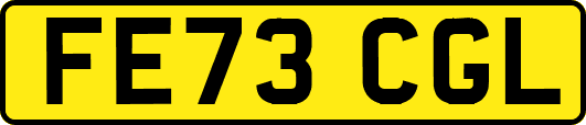 FE73CGL