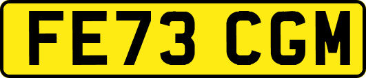 FE73CGM