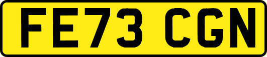 FE73CGN