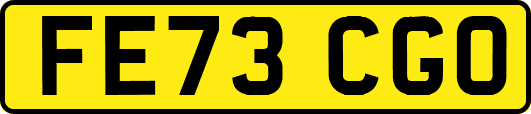 FE73CGO