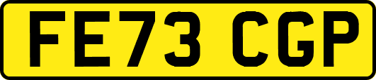 FE73CGP