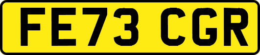 FE73CGR
