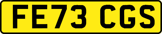 FE73CGS