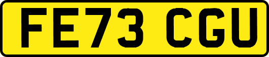 FE73CGU