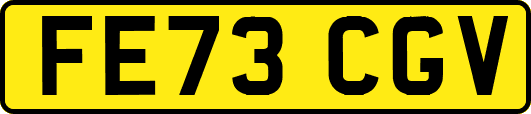 FE73CGV