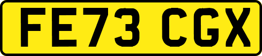 FE73CGX