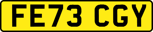FE73CGY
