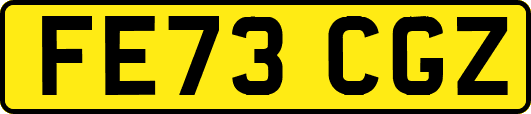 FE73CGZ