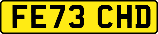FE73CHD
