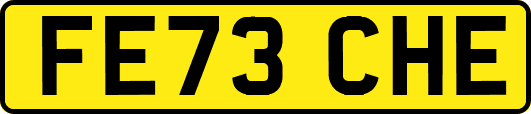 FE73CHE