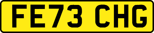 FE73CHG