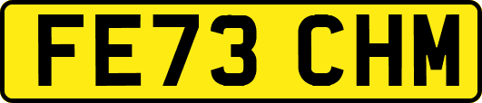 FE73CHM