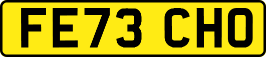 FE73CHO
