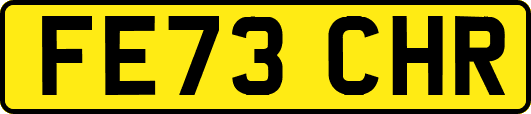 FE73CHR