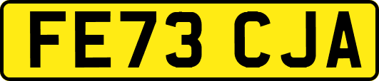 FE73CJA
