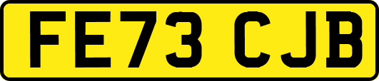 FE73CJB