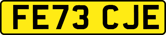 FE73CJE